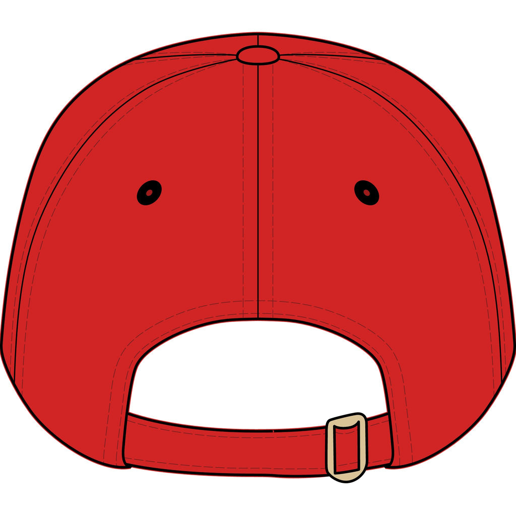 Youth Baseball Cap — Embroidered "Little Farmer Big Dreams" Tractor Design